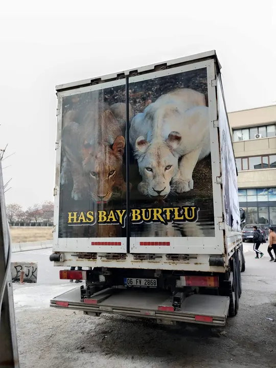 Kamyon Tır Araç Folyo Uygulama uygulama örneği, Ankara